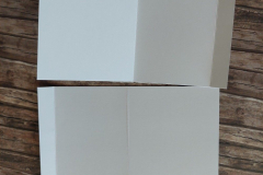 blog-il-murrillo-Theater-box-card-beatrice-17