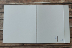 blog-il-murrillo-Theater-box-card-beatrice-18
