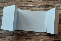 blog-il-murrillo-Theater-box-card-beatrice-19