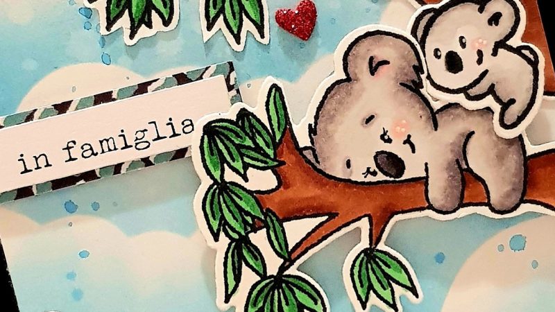 Koala SLIMLINE CARD